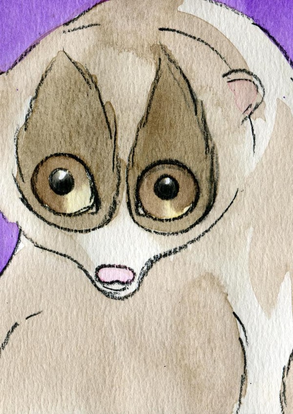 animals animal Card 23588 created by Ruth Ferrier Illustration