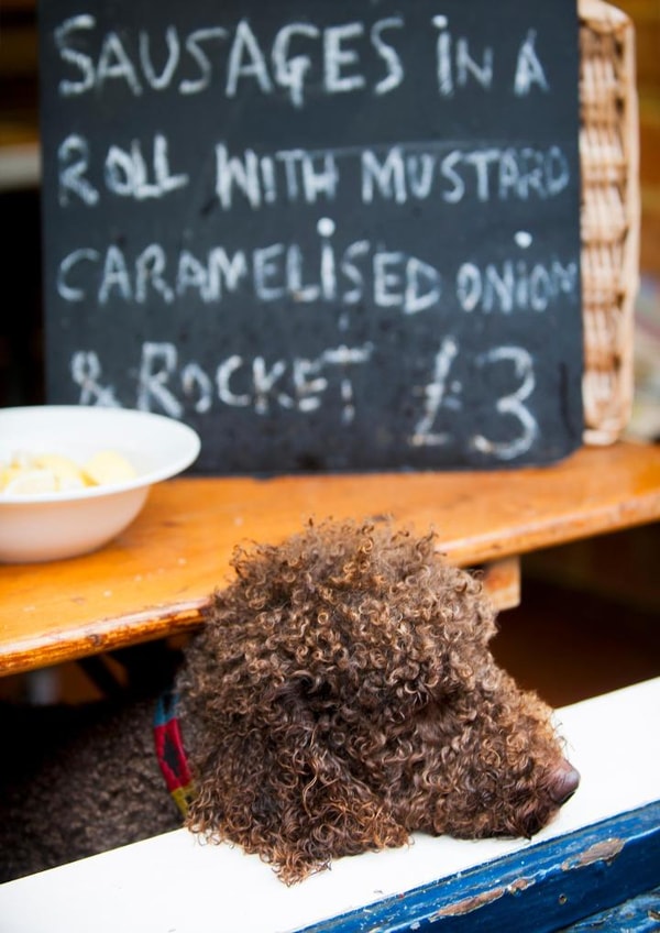 Photography MALE Card 23397 created by Craig Easton