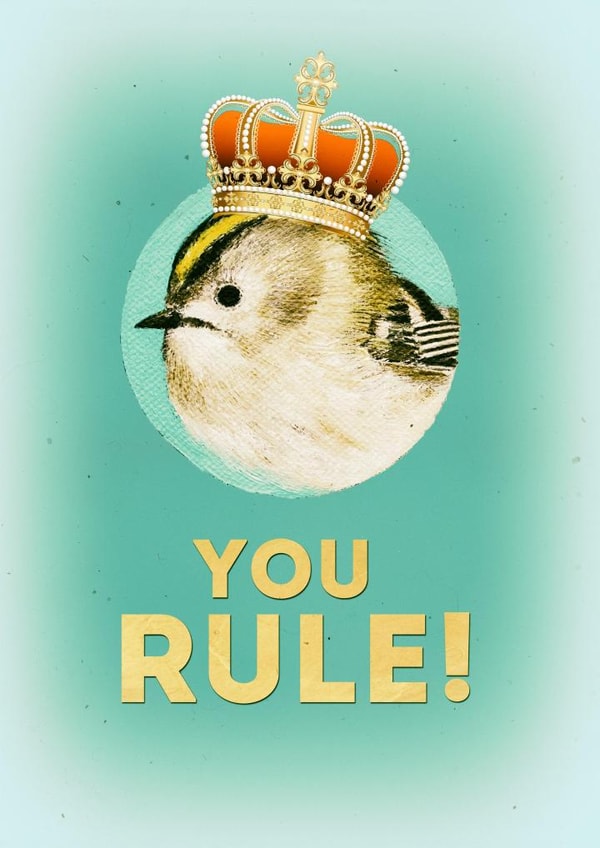 MALE FEMALE Card 24380 created by Satty VerbArt