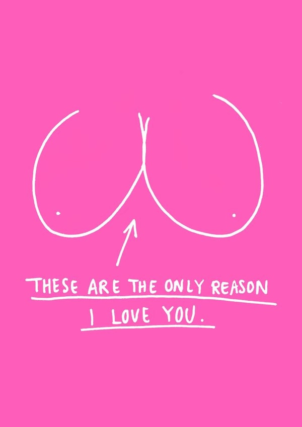 Rude Valentines Day Card - Boobs - These Are The Only Reason I Love You created by Charly Clements