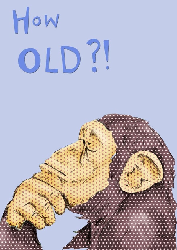 how old Birthday Card 25096 created by Ryland Studios