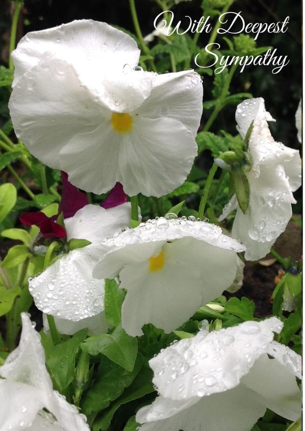 WithDeepest WithDeepestSympathy Card 25984 created by Caroline Davies