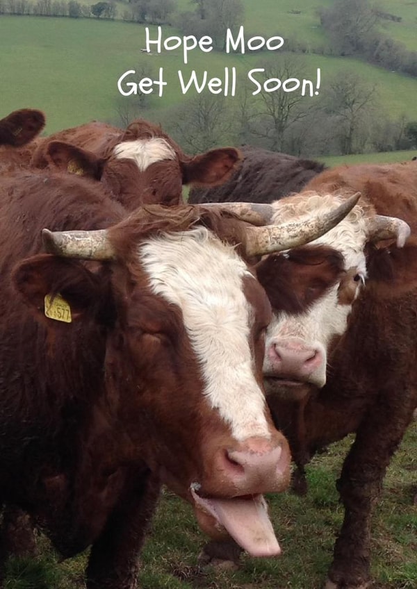 Get GetWEll Card 25993 created by Caroline Davies