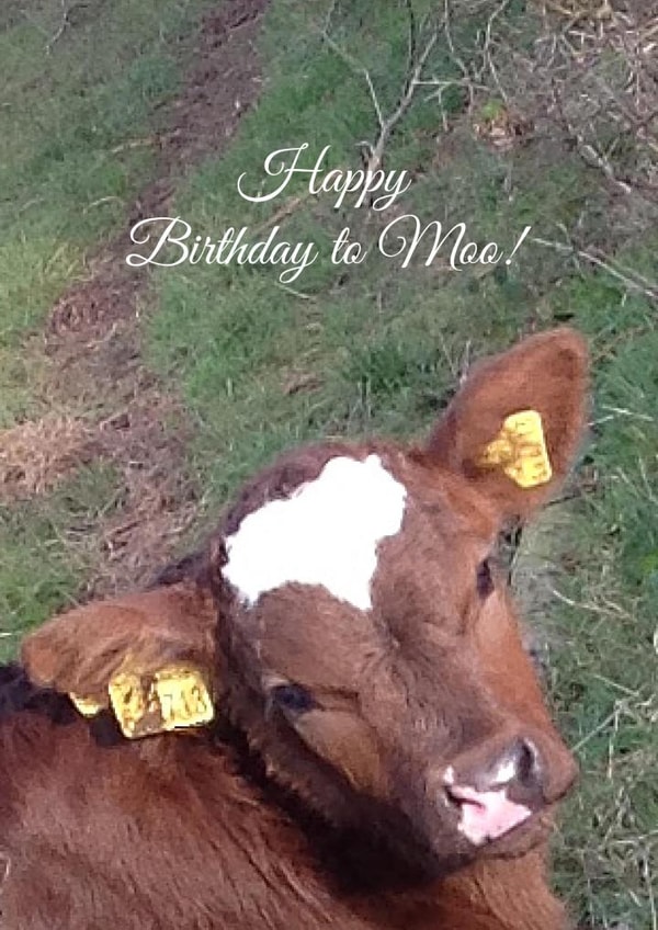 Happy HappyBirthday Card 25995 created by Caroline Davies