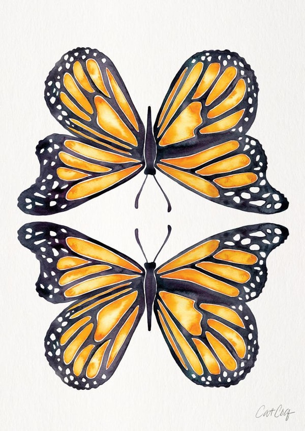 butterfly MALE Card 26227 created by Cat Coquillette