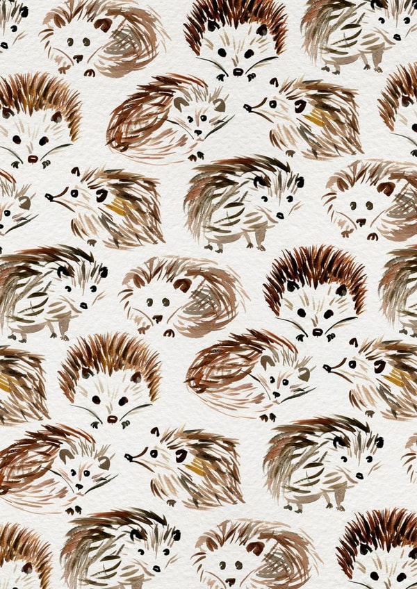 hedgehog MALE Card 3626 created by Cat Coquillette