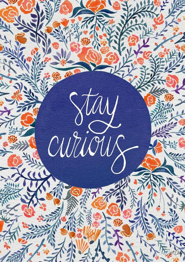 stay curious Just because... Card 3639 created by Cat Coquillette