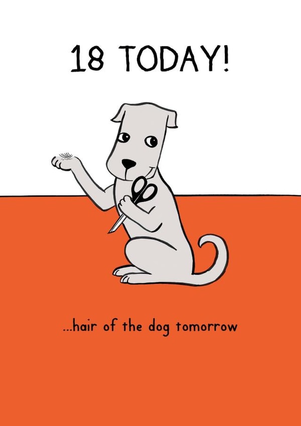 18 18th Birthday Card 1642 created by Reigning Cats . . . and dogs