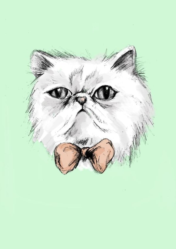 Cute cat Just Because card created by Gillian Maher