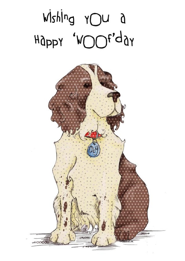 Spaniel dog happy “woofday” birthday  created by Ryland Studios