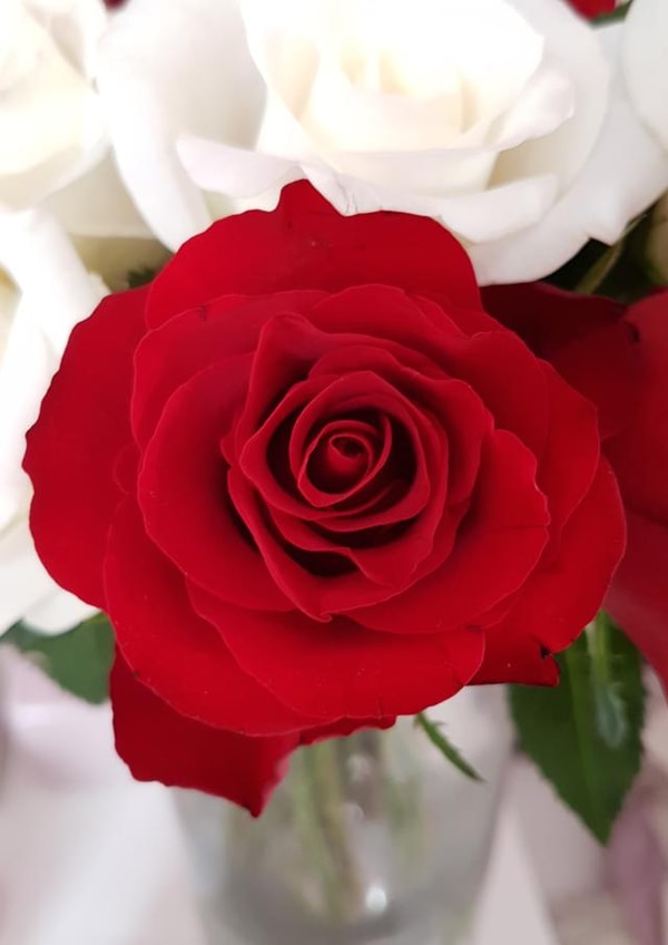 Wife Valentines Valentines Day Card 22565 created by Adeeba Faheem