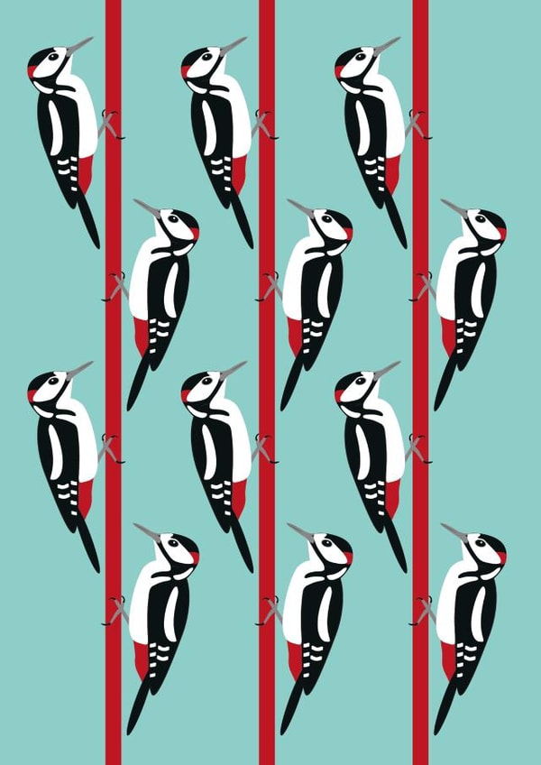Woodpecker Male Just Because Card 6185 created by 1790 Cards