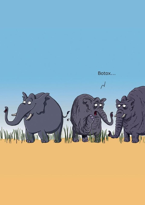 Funny Birthday Card - Botox Elephant created by Redback Cards