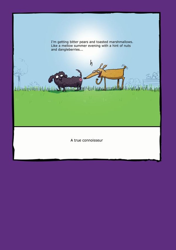 dog humour Humour Card 6499 created by Redback Cards