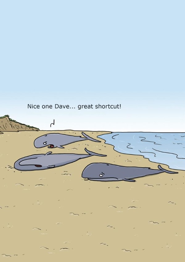 Funny Birthday Card - Beached Whales - Shortcut created by Redback Cards