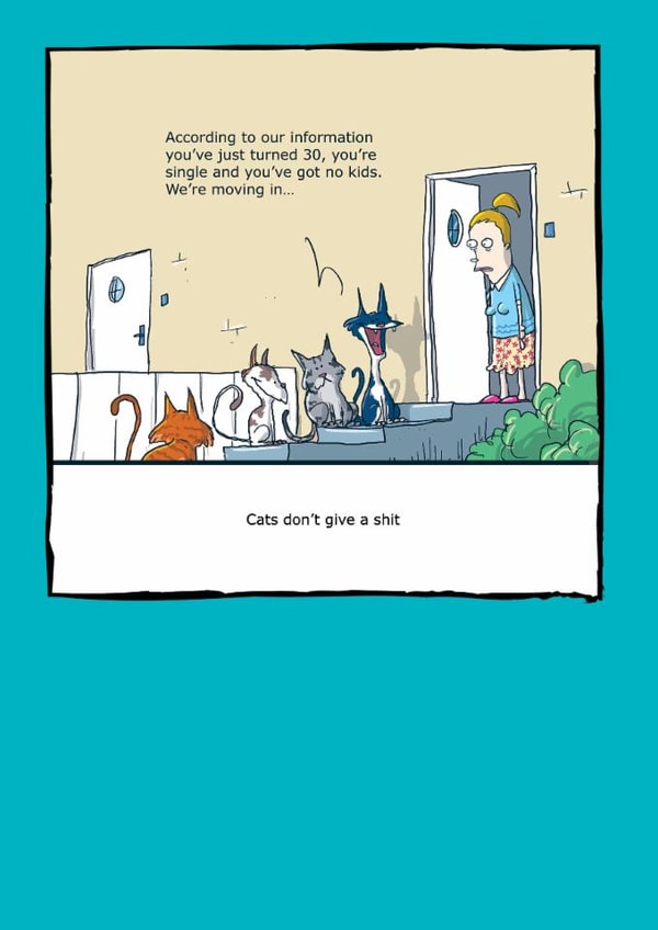 cats 30 Birthday Card 6510 created by Redback Cards