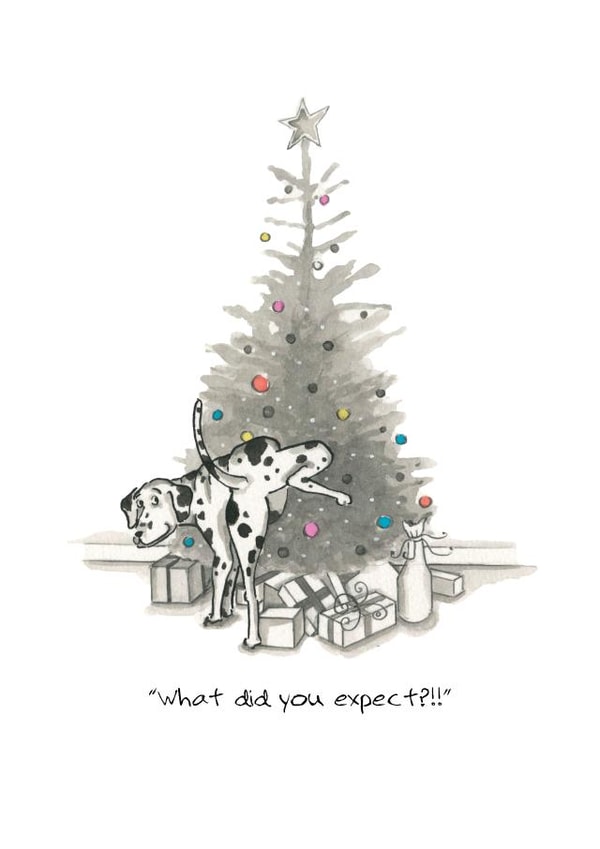 #christmas #dogs Christmas Card 23415 created by Siobhan Barlow