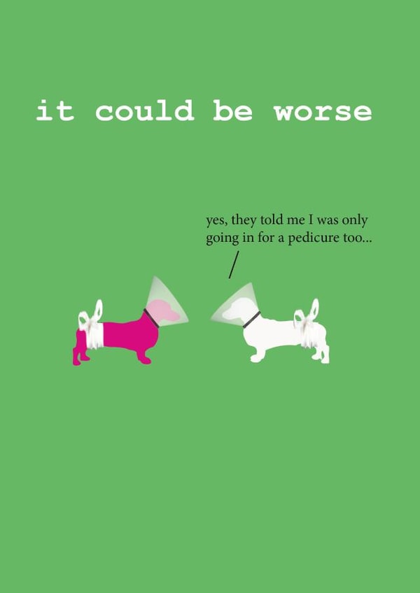 dog ill Get Well Card 5346 created by Frankie Whistle