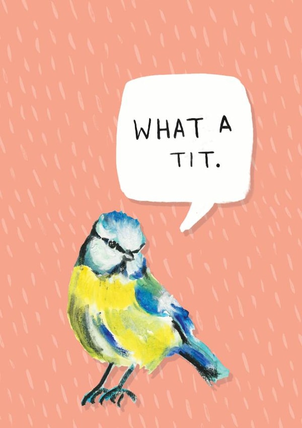 tit rude Just because Card 7716 created by Little Birds Talk + Paper Hawk