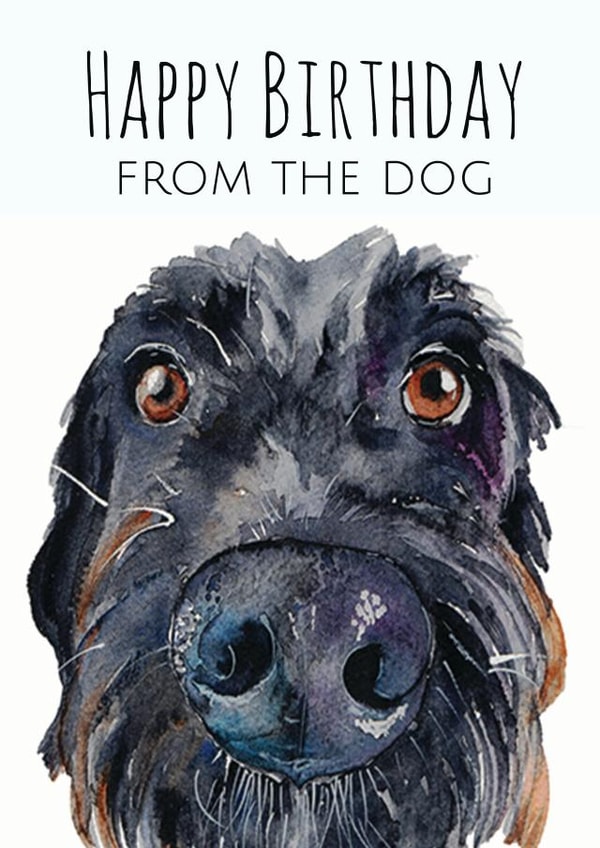 dog Adult Birthday Card 1580 created by Jo Scott Art