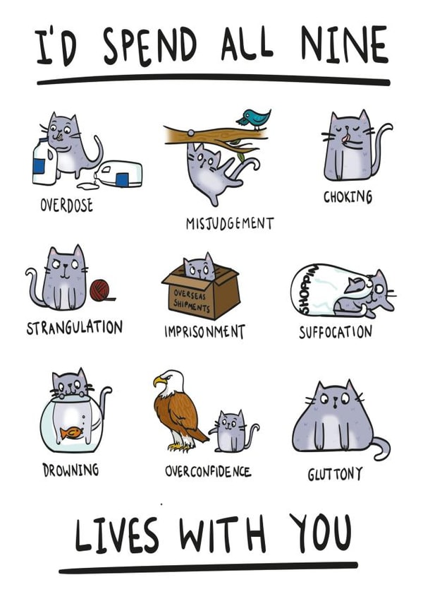 Cute Cat Anniversary Card / Valentines Day Card - I'd Spend All Nine Lives With You created by Lucy Maggie Designs