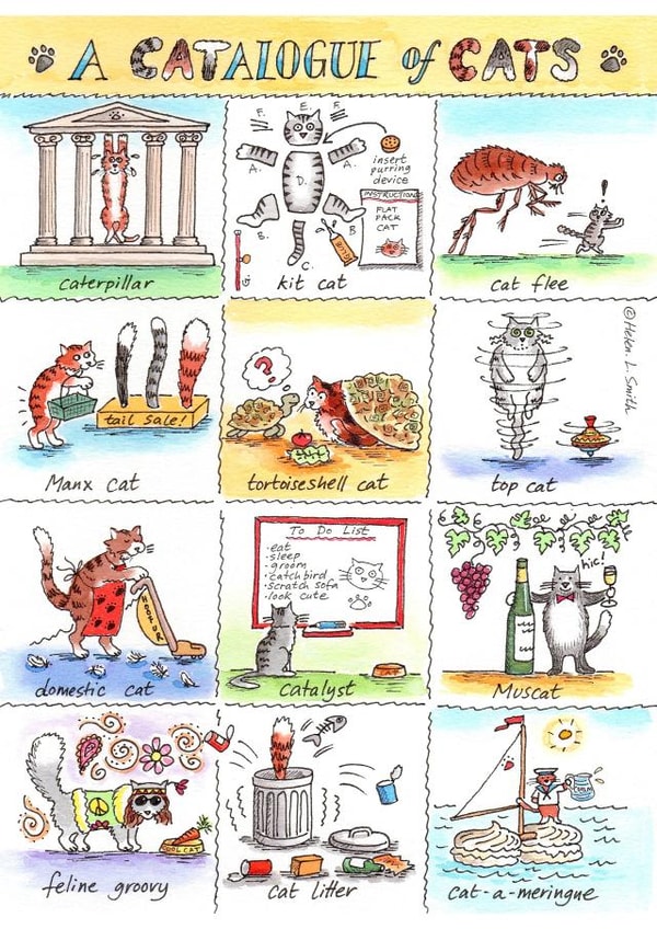 cats humour Just because Card 7979 created by Helen L Smith