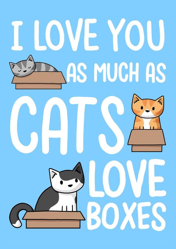 Cute Cat Anniversary Card / Valentines Day Card - I Love You As Much As Cats Love Boxes created by Doodlecats