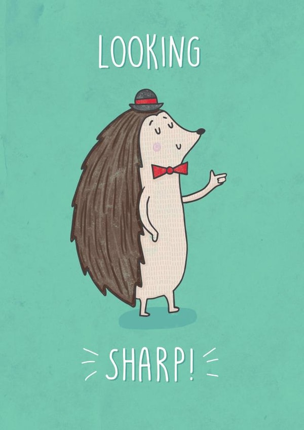 hedgehog pun Congratulations Card 7796 created by Katie Ruby Illustration