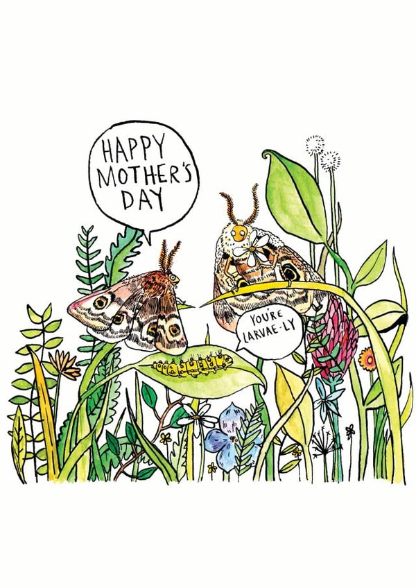 moth pun Mothers Day Card 27867 created by Jelly Armchair