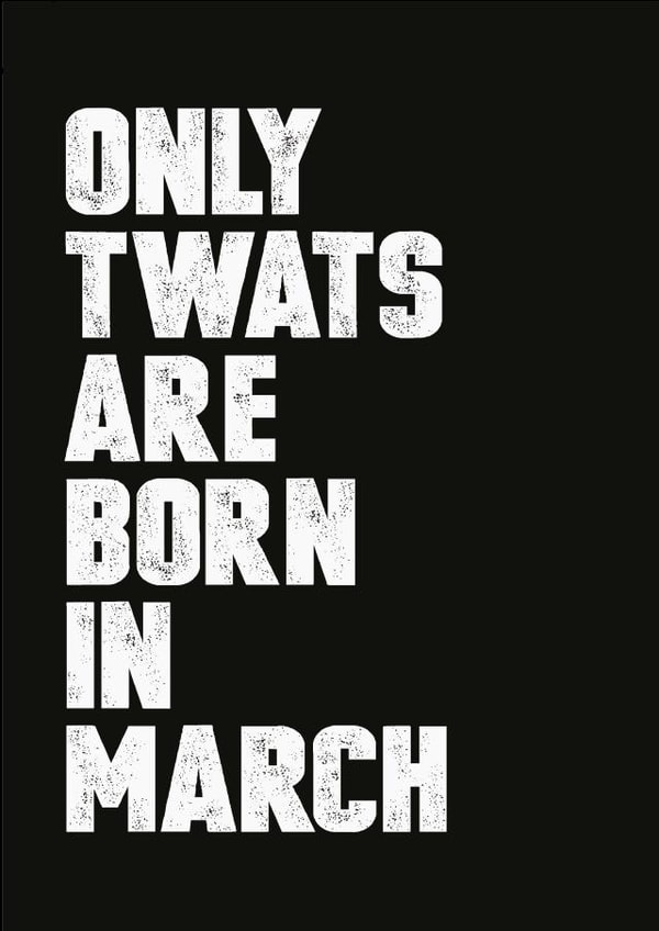 only born Birthday Card 8075 created by Filthy Sentiments