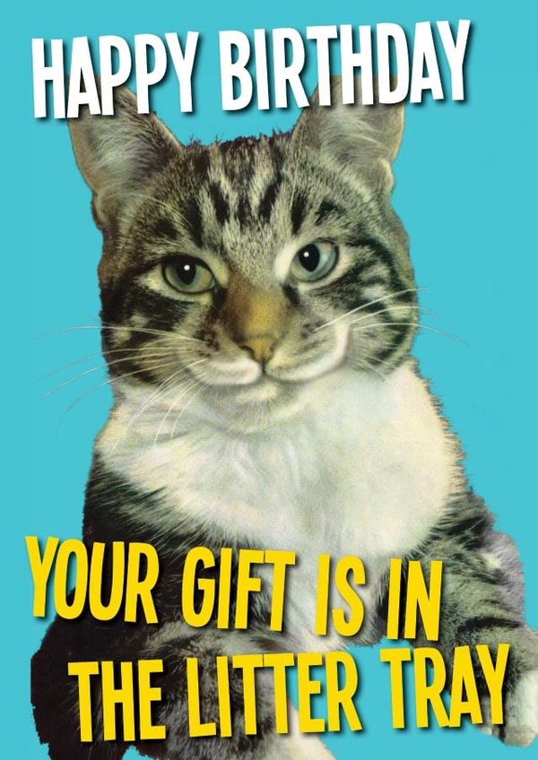 Cat kitten Birthday Card 7875 created by kissmekwik