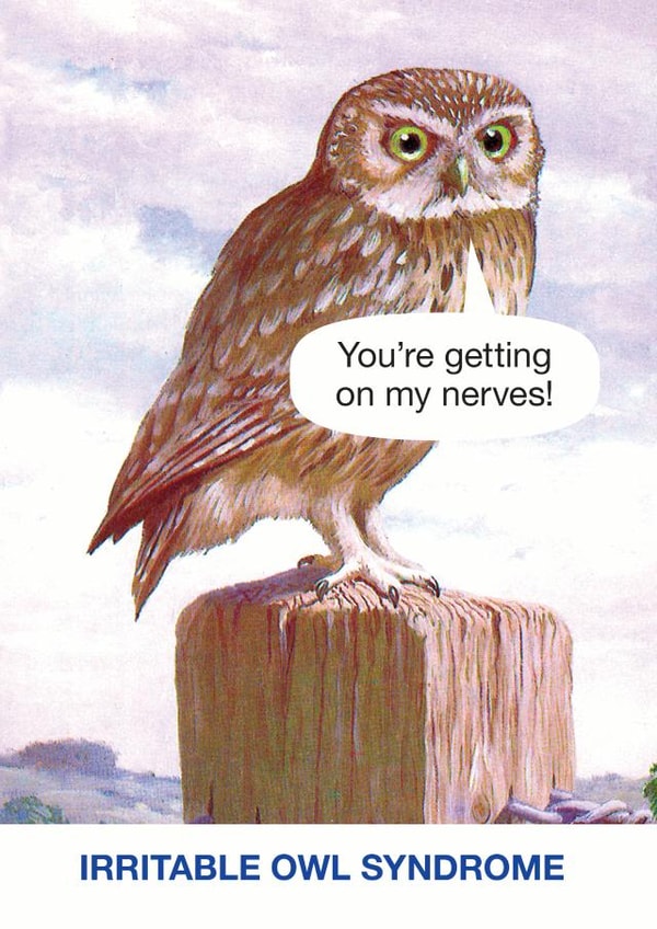 irritable owl Humour Card 9264 created by © Ladybird Books Ltd 2025