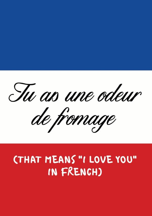 Funny Valentine's Day Card / Anniversary Card - French - You Smell Like Cheese - I Love You In French created by Peabody Studio