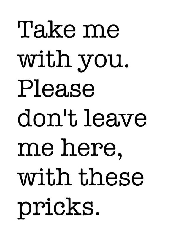 Funny rude New Job Card 9007 created by If Dogs Could Fly