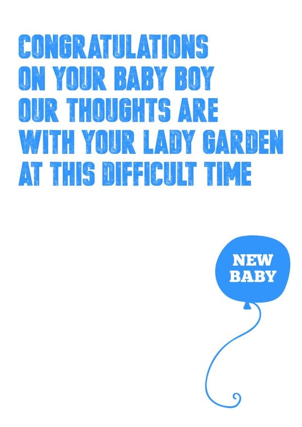 New baby New Baby Card 8719 created by Silly Sentiments