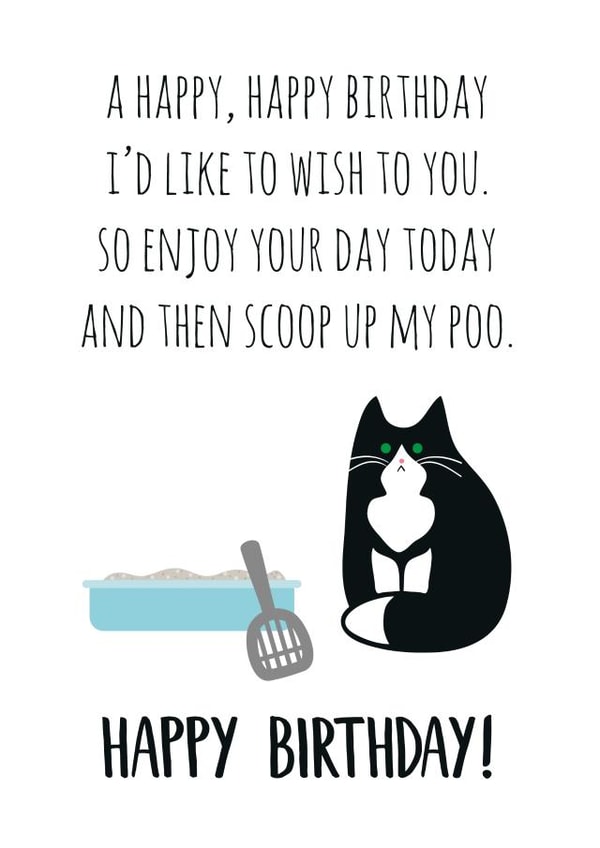 funny illustration Birthday Card 9780 created by Miümi Cat