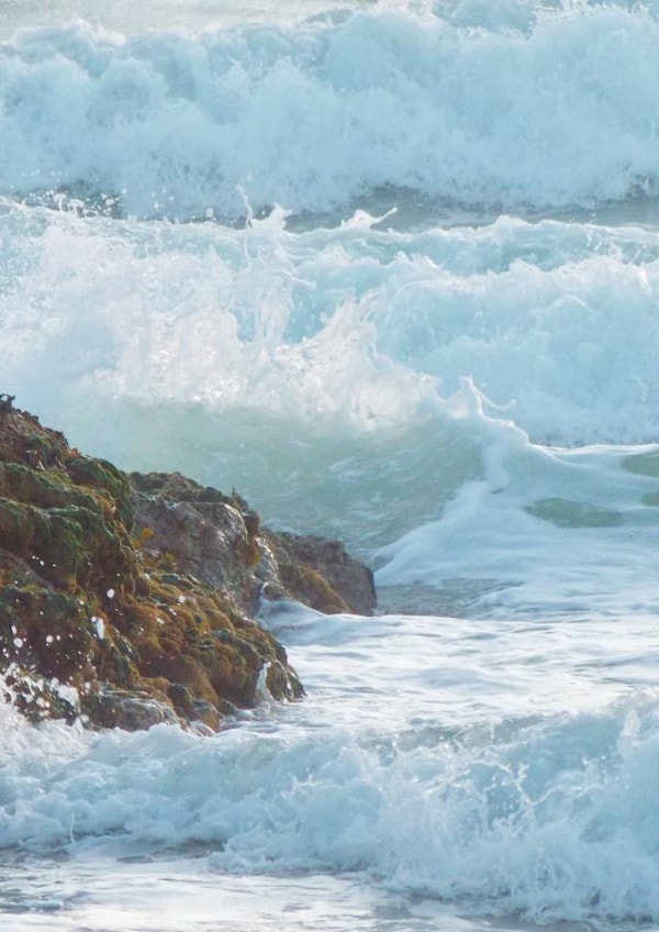 pipany sea Card 32226 created by Pipany Philp