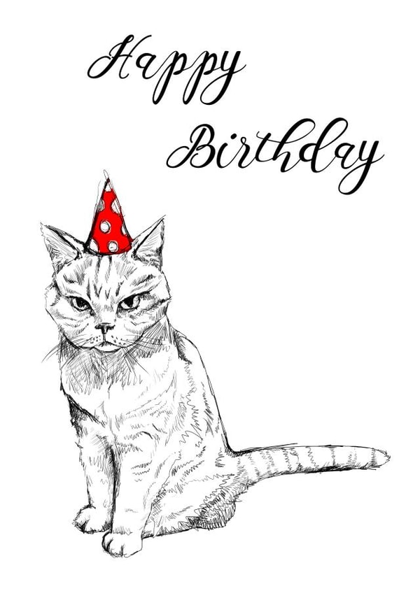 cat pussy Birthday Card 32247 created by Amy Cockcroft