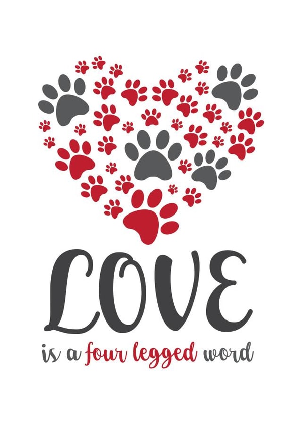 love dog Love & Friendship Card 10344 created by Yeti Design