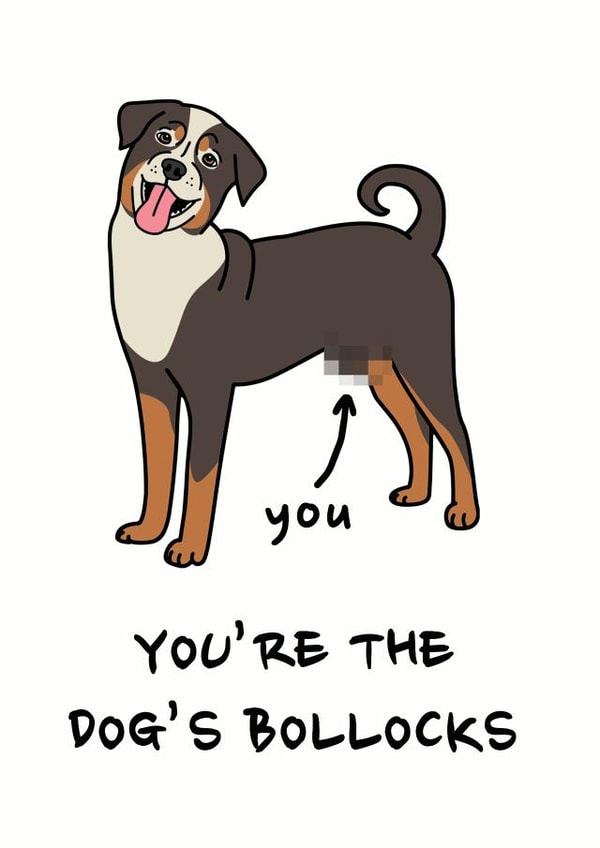 Rude Birthday Card - Dog - You're The Dog's Bollocks created by Peabody Studio