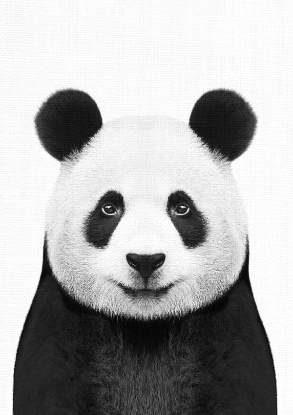 panda animal Card 32914 created by INSPIRE