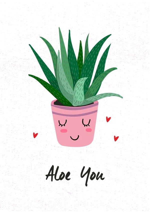 aloe you Love & Friendship Card 26642 created by Ink & Ocean
