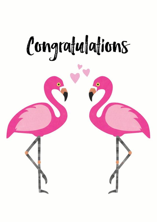 Pink flamingos - congratulations design created by Chameleon and Co