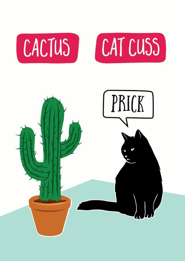 Funny cat pun card created by Jon Hall Design