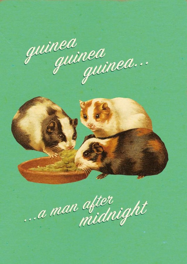 Punny guinea pig birthday card created by Tess Cards