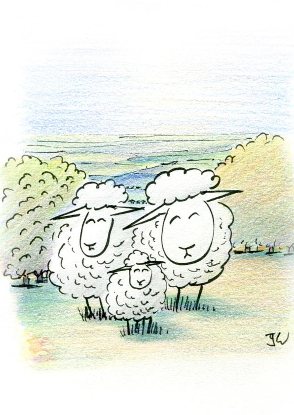 Sheep newborn Card 24323 created by Jon Warren