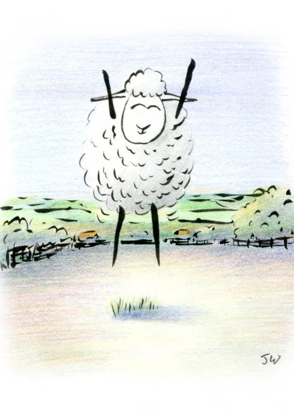 Sheep Jumping Card 24324 created by Jon Warren