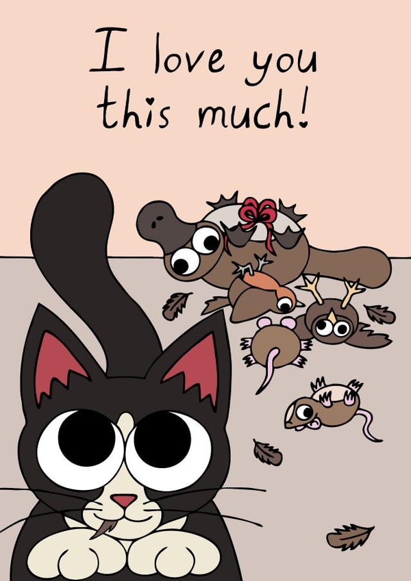 cat cat-lover Card 29072 created by Kim Onyskiw