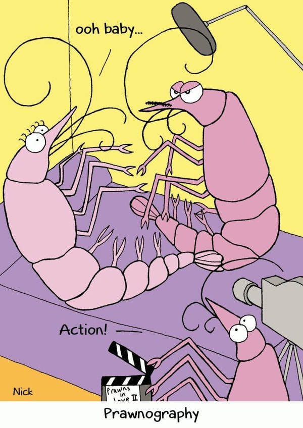 Humour Funny Anniversary Card 6781 created by Nick Hannaford-Hill