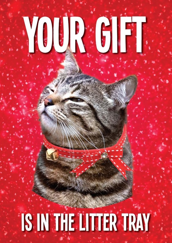 Cheeky - Pets - From the Cat - Your Gift Is In The Litter Tray - Litter Tray - Cat Parent - Cat - Poo - Christmas Card created by kissmekwik